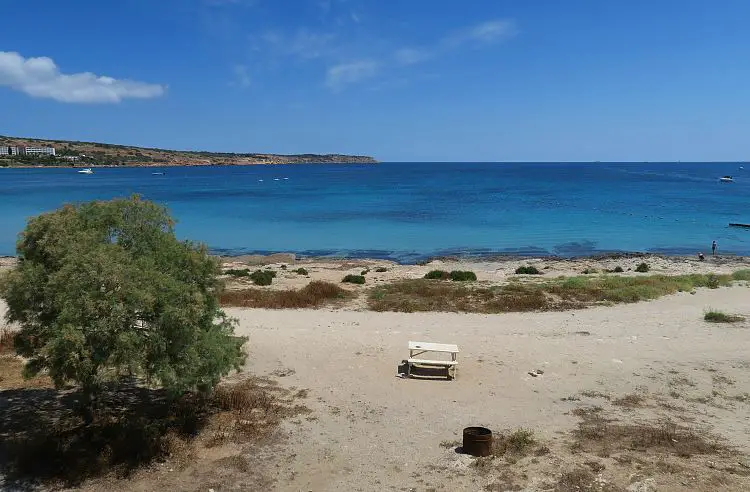 Der mittlere Teil der Mellieha Bay mit Parkbänken und kleinen Sträuchern im Frühling. Im Hintergrund sieht man den Sandstrand, das Meer und die Stadt.